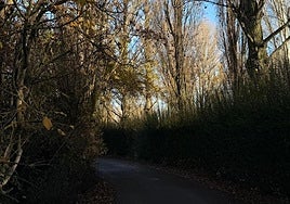 Imagen del otoño en León.