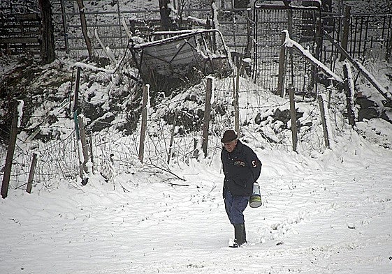 Nieve en la comarca leonesa de Los Argüellos a comienzos de este año.