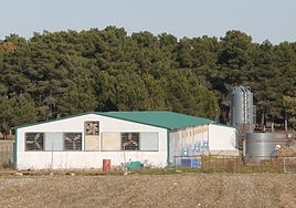 Granja afectada por gripe aviar en Segovia.