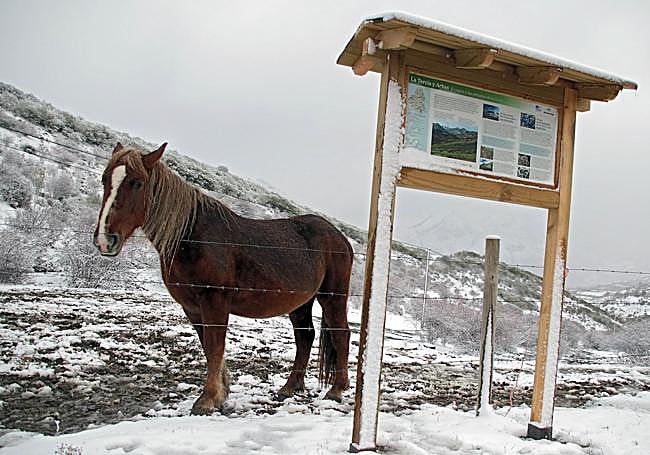 Nieve en Los Argúellos leoneses.