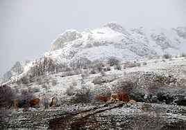 Las imágenes de la nieve en la montaña de León