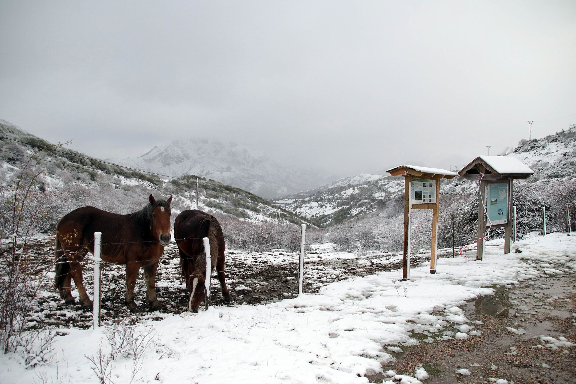 Las imágenes de la nieve en la montaña de León