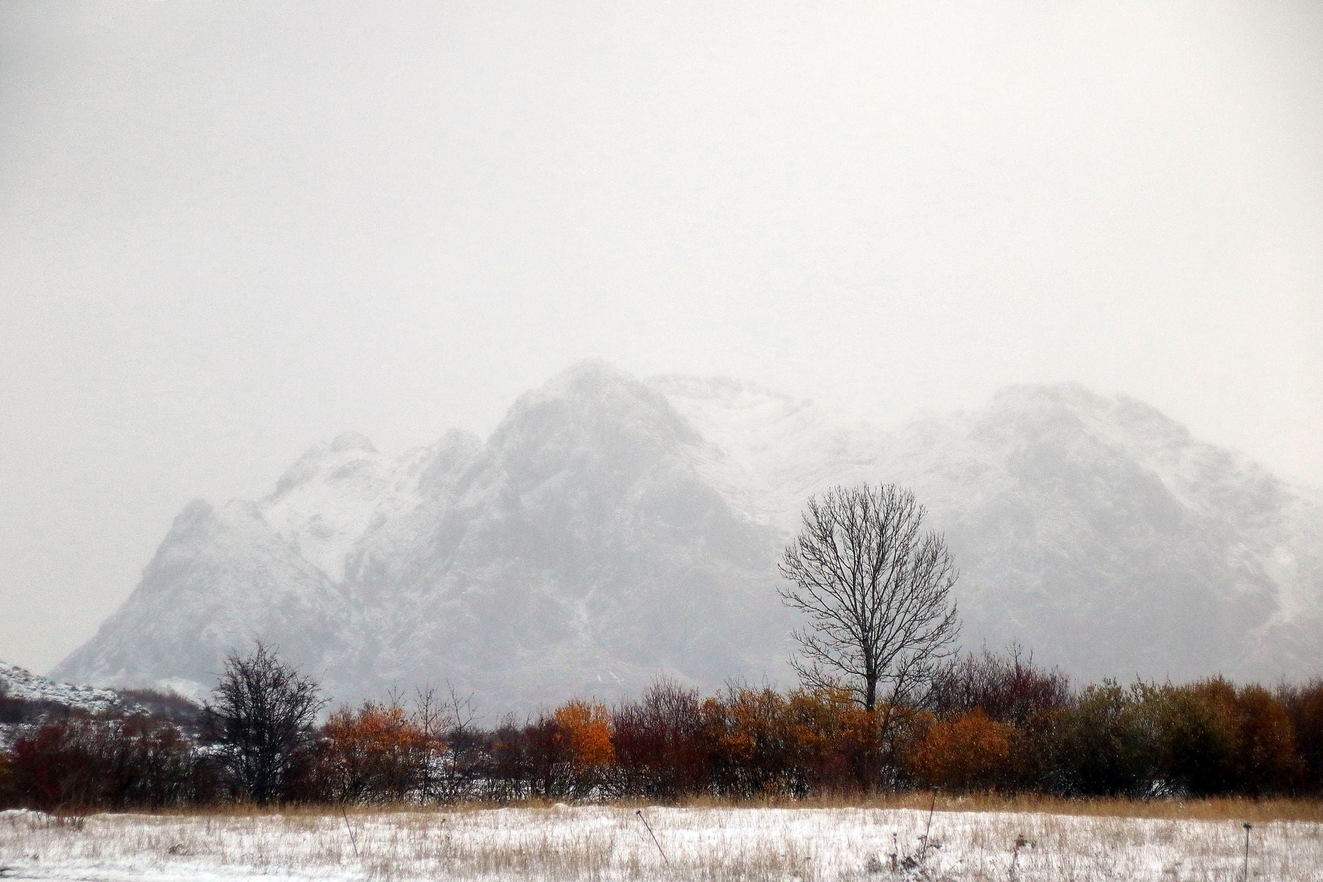 Las imágenes de la nieve en la montaña de León