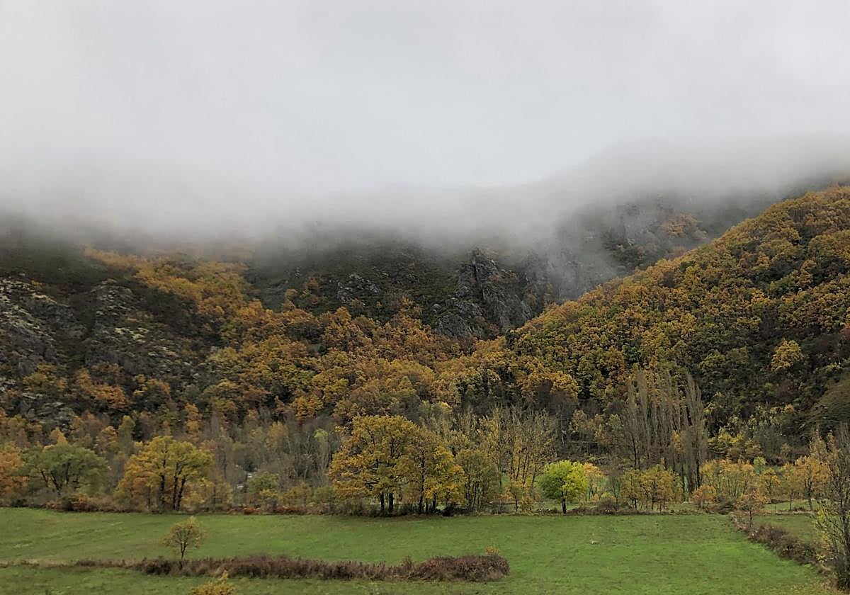 La zona del Curueño este otoño.
