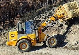 Trabajos para la recuperación de las zonas afectadas.