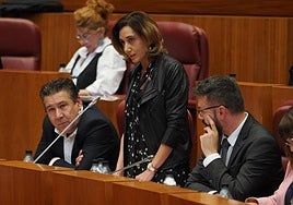 Sesión plenaria en las Cortes.