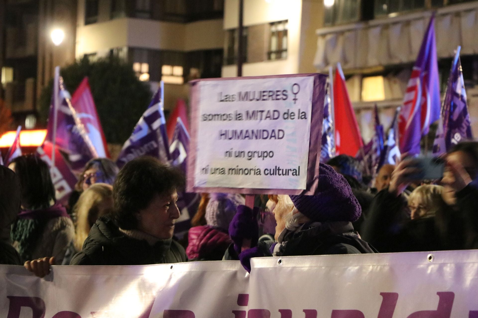 Las imágenes de la manifestación del 25N en León