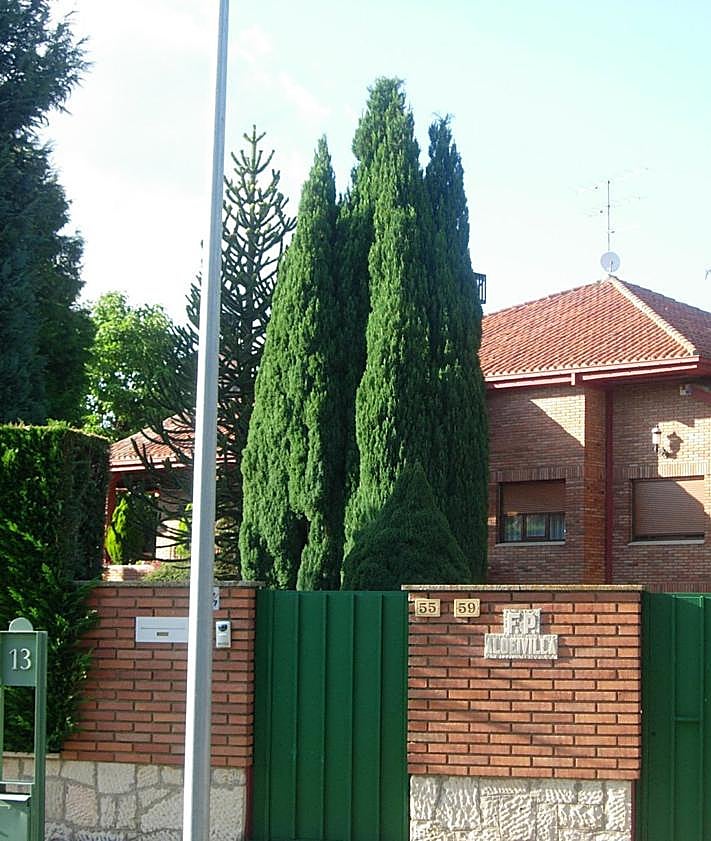 Imagen secundaria 2 - Vista aérea de la finca y el chalé; su representación en el Catastro; y la fachada de la propiedad en Trobajo del Camino.