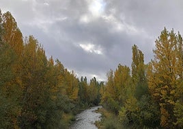 El río Bernesga en la provincia de León.