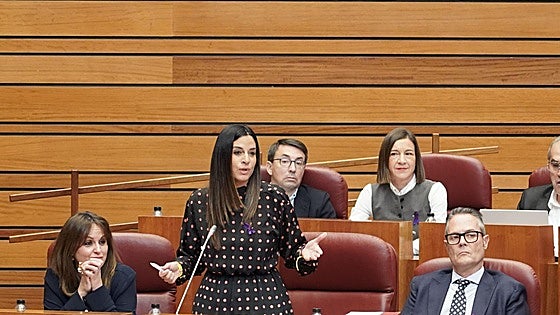 El PSOE espera que Quiñones «pague en los tribunales lo que no ha pagado políticamente»