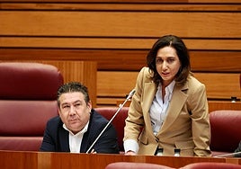 La procuradora de UPL, Alicia Gallego, junto al portavoz leonesista, Luis Mariano Santos.