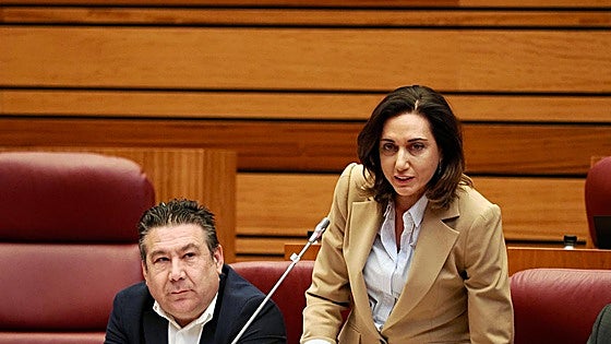 UPL pide a Mañueco menos «promesas incumplidas» con los 100.000 hogares sin internet de calidad en la Región Leonesa