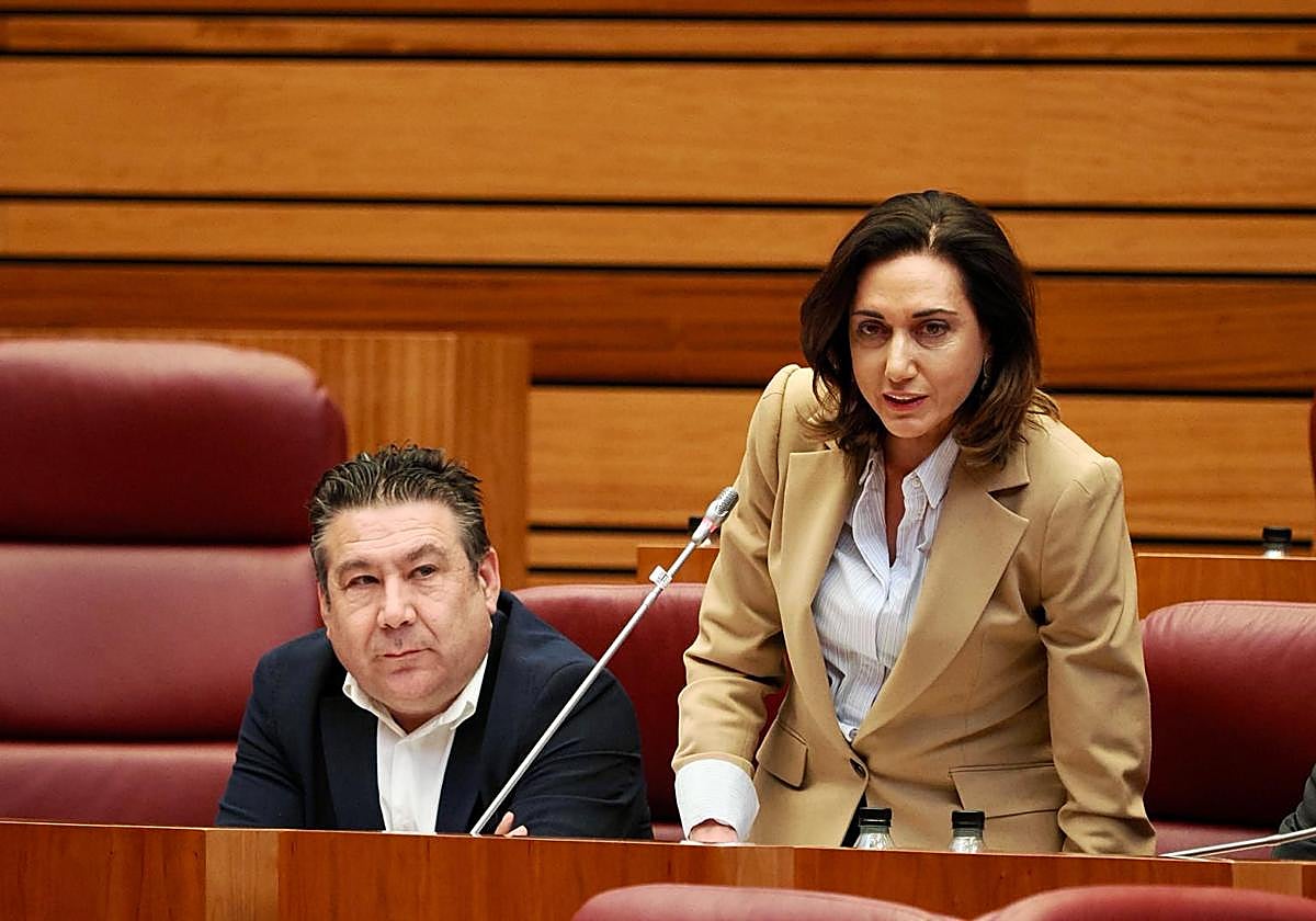 La procuradora de UPL, Alicia Gallego, junto al portavoz leonesista, Luis Mariano Santos.