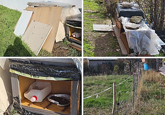 Zona habilitada para las colonias de gatos.