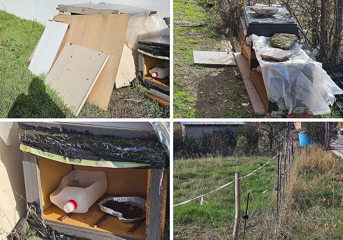 Zona habilitada para las colonias de gatos.