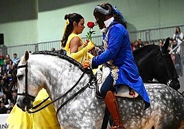 Imagen de la exhibición llevada a cabo en Sevilla.