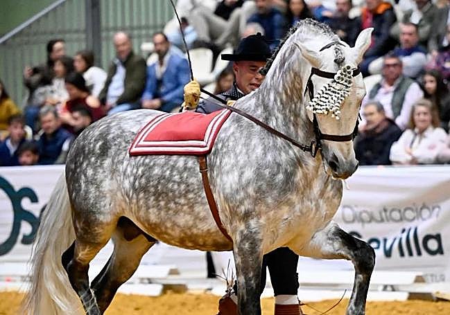 Manuel Arias, junto a su caballo Albero.