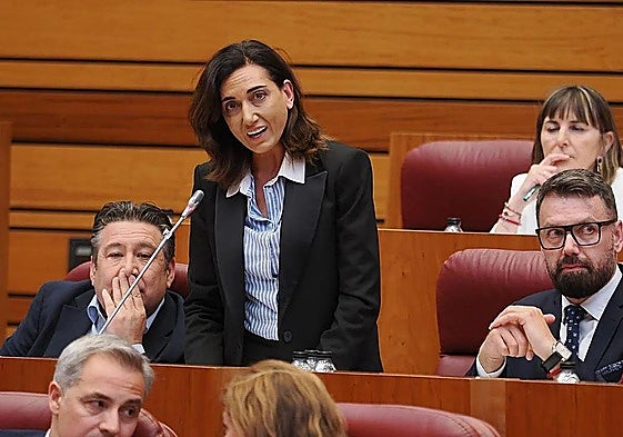 Alicia Gallego en las Cortes de Castilla y León junto a Luis Mariano Santos.