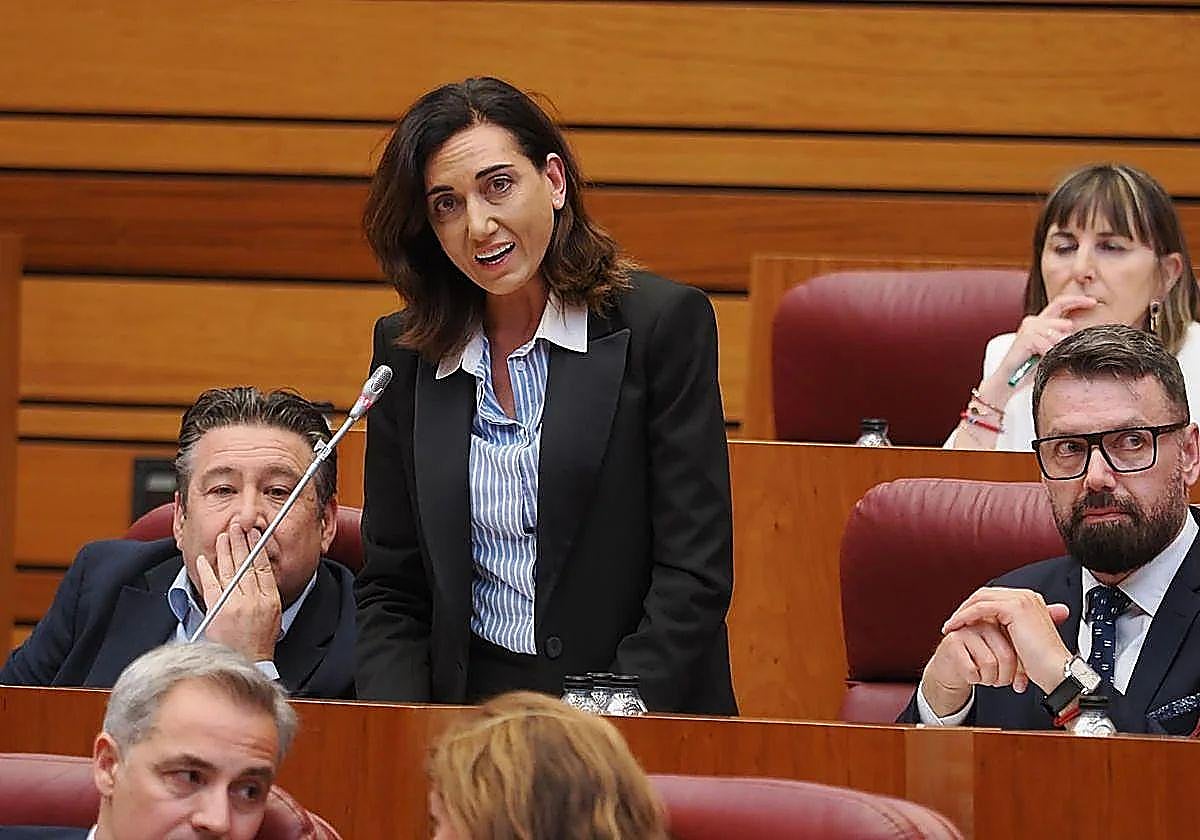 Alicia Gallego en las Cortes de Castilla y León junto a Luis Mariano Santos.