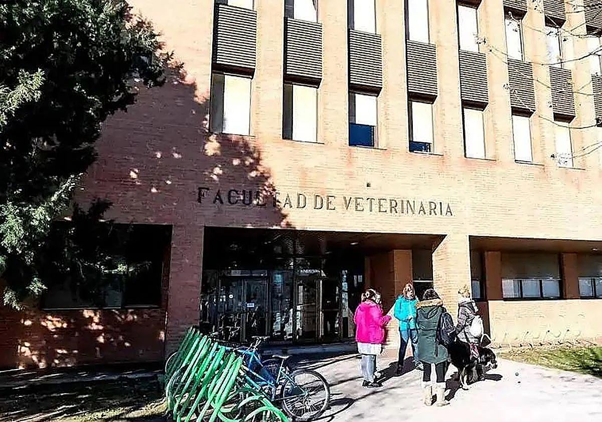 Facultad de Veterinaria en León.