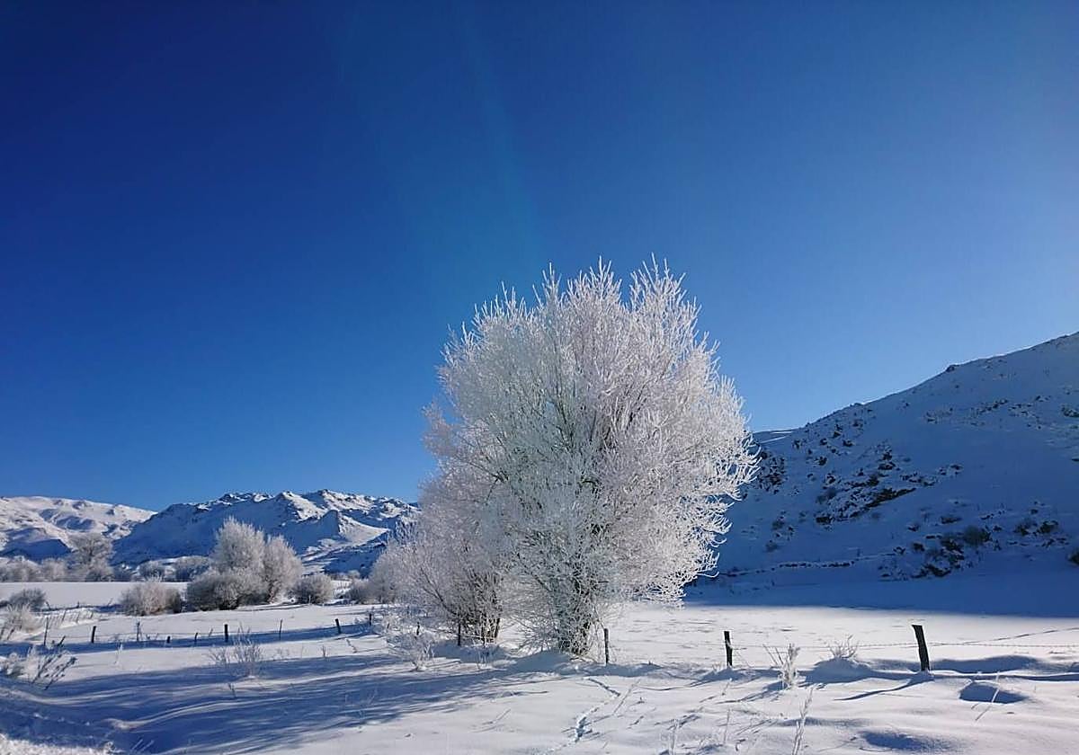 Imagen de archivo de Prado Veneiro.