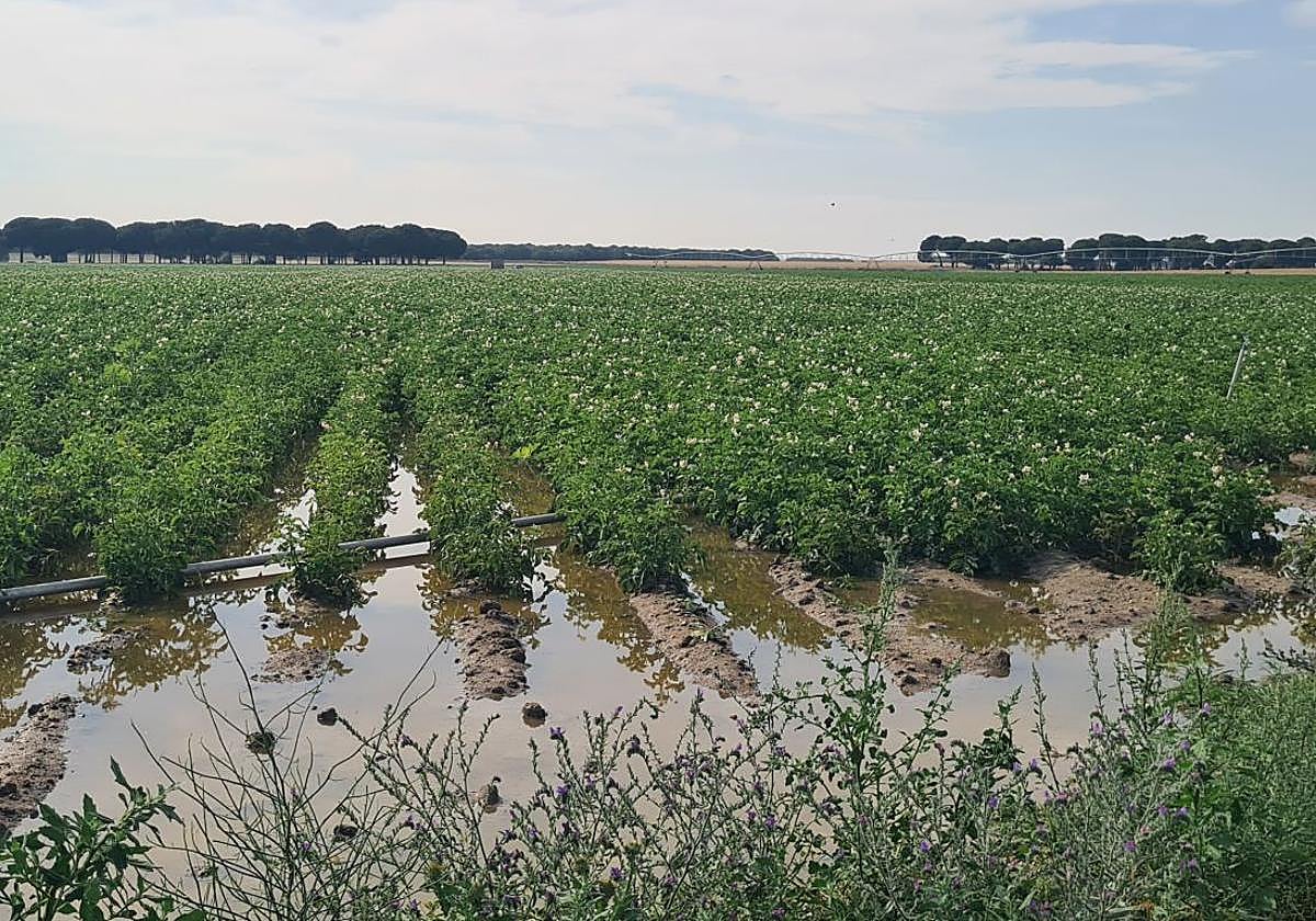 León recibe este año el mayor apoyo en ayudas directas de la PAC desde su inicio