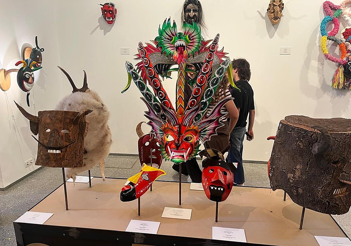 M´acaras que forman parte de la muestra.