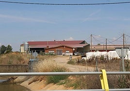 Una mujer inmigrante vuelve a su casa en Algadefe.