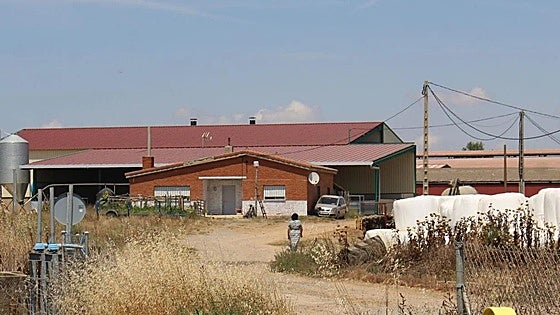 Uno de cada diez trabajadores en León es extranjero