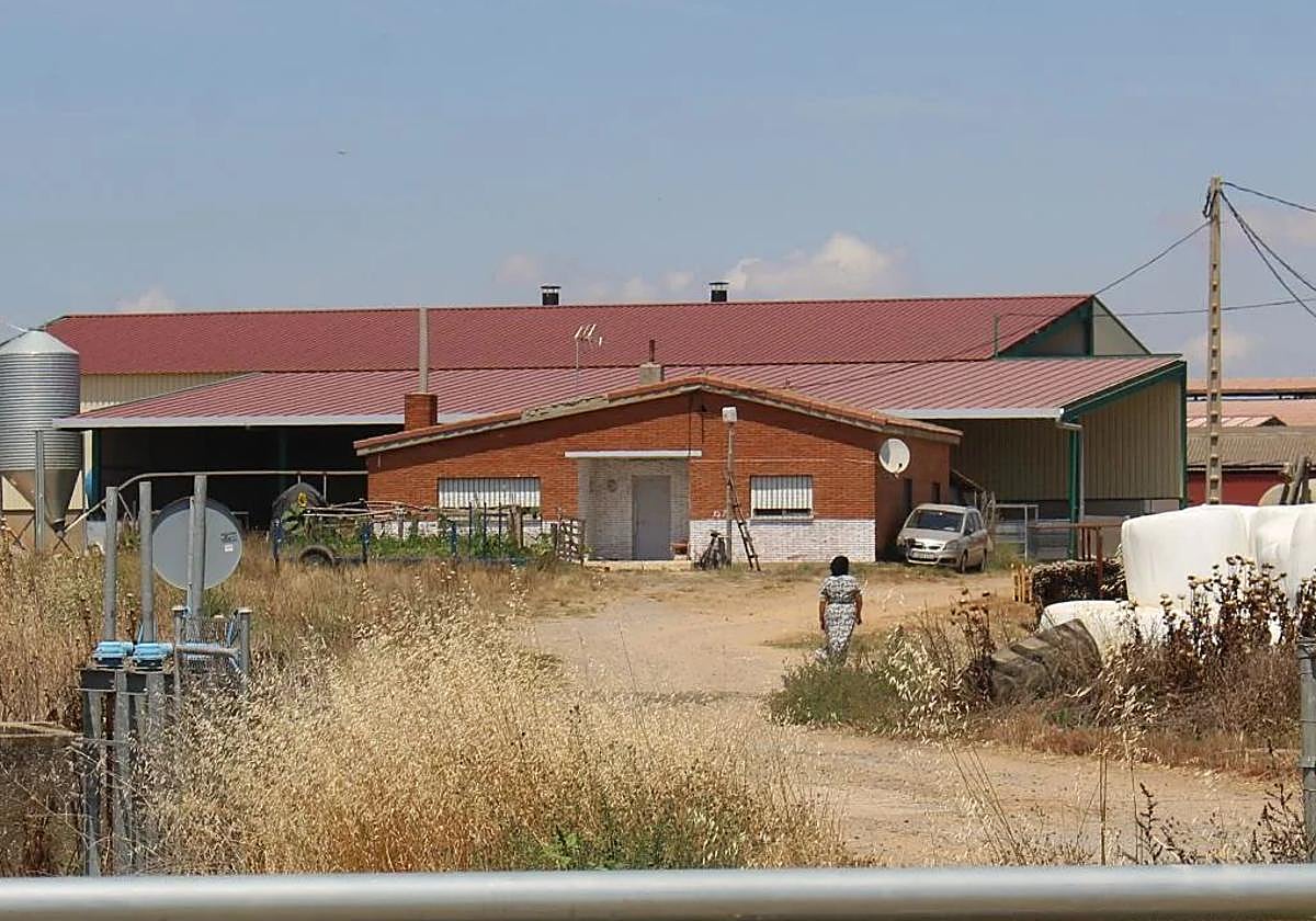 Una mujer inmigrante vuelve a su casa en Algadefe.