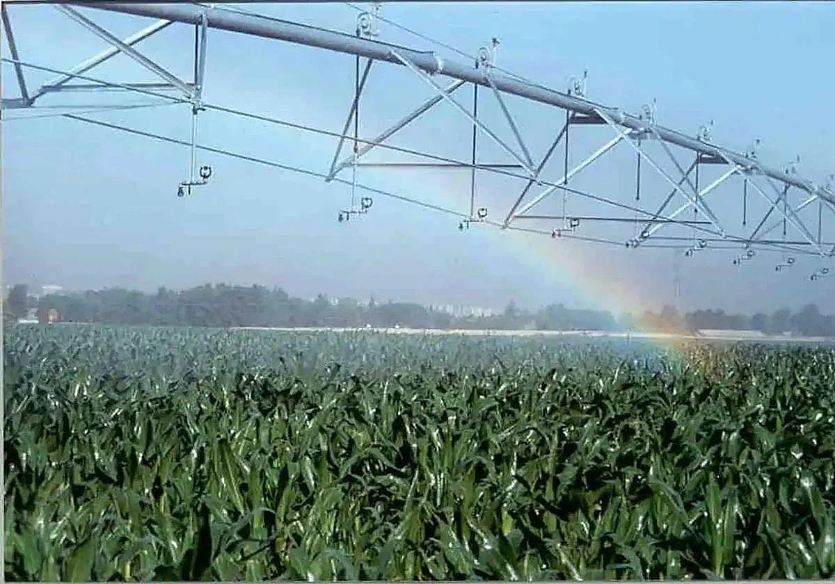 Once comunidades de regantes de León recibirán una aportación millonaria