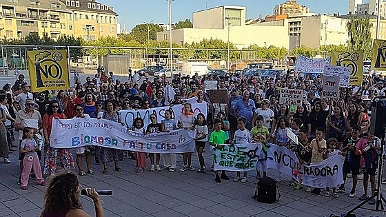 Nuevo intento para frenar la planta de biomasa en el sur de León