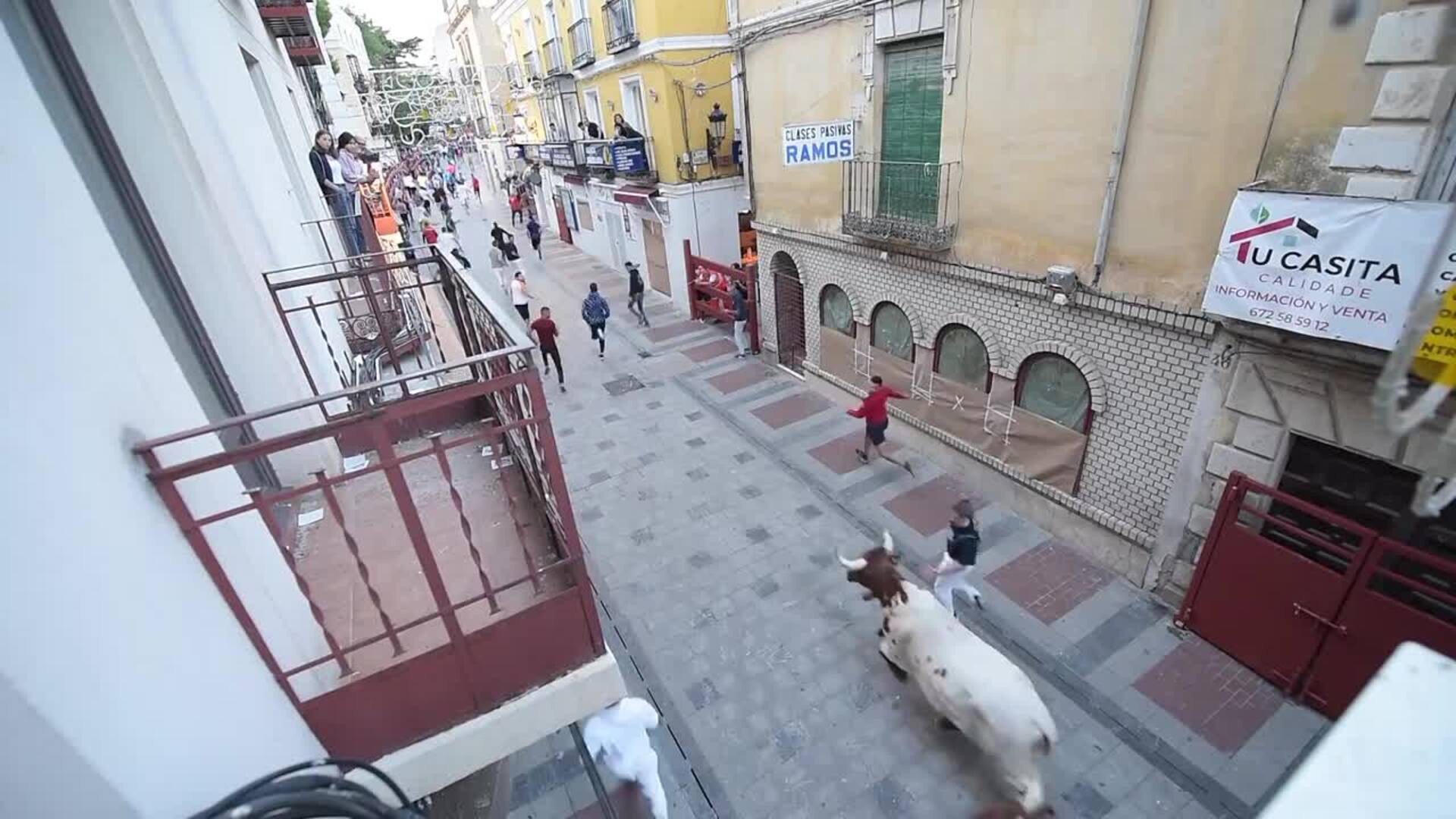El primer encierro con toros en puntas por el casco Guadalajara concluye sin incidentes