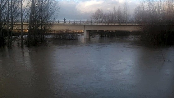El río Cea «la lía aguas abajo» tras anegar campos de cultivo al sur de León