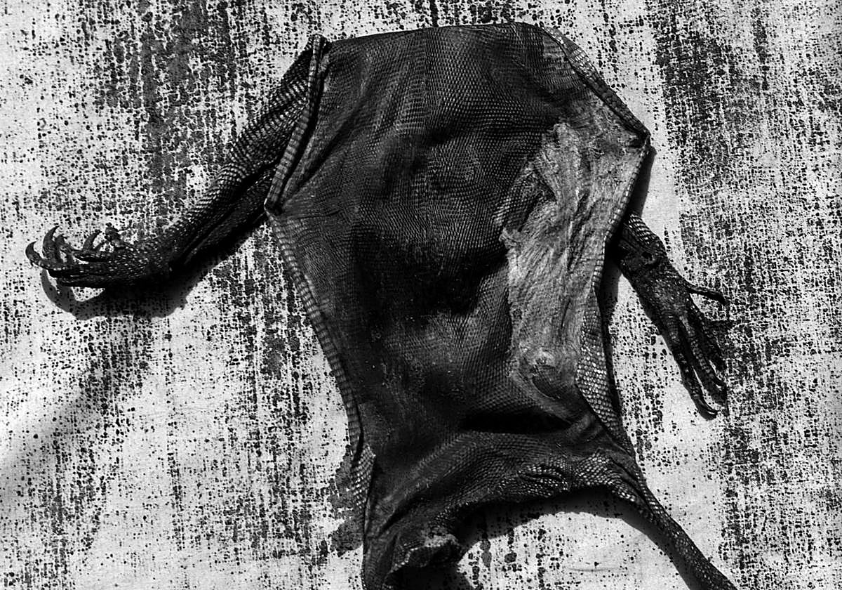 'Piel de un político', del artista leonés Alberto García-Alix, que podrá verse en el expositor de Albarrán Bourdais en ARCOmadrid 2026.