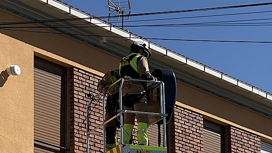 La caída de un cable de telefonía provoca cortes de tráfico en La Magdalena