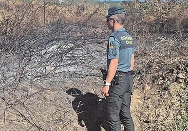 Piden cuatro años y cinco meses de prisión para el presunto autor de un incendio en Borrenes