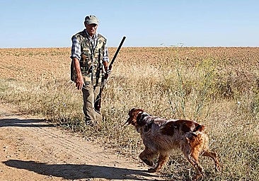 Alertan del robo de perros de caza en pueblos de León: «Los soltaron por la presión en Zamora»