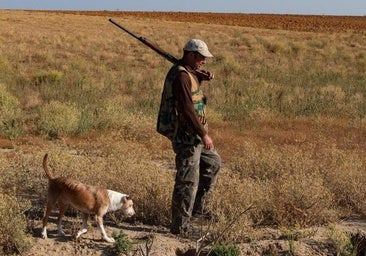 La oleada de robos de perros de caza alcanza también a la protectora de Astorga: «Entran a robar según llegan aquí»