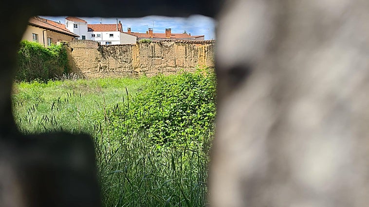 El León romano suma 20 años de olvido y vallas metálicas lo ocultan en San Pelayo