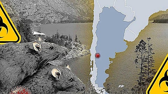 Llaman a la calma ante la llegada del hantavirus a León, un agente ya detectado en 2022 en roedores de la provincia