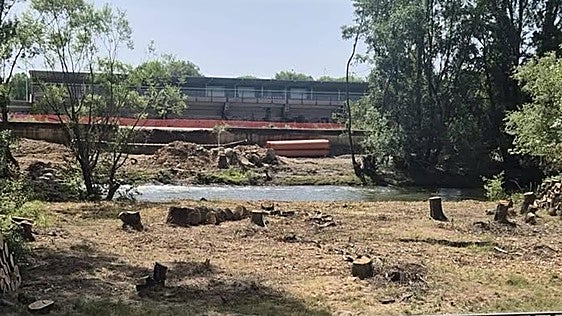 Árboles talados y caminos cortados marcan el inicio de las obras «sin licencia» de la central de biomasa en León