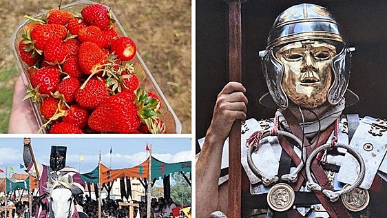 Justas Medievales, Feria de la Fresa y canichada entre los planes de León este fin de semana