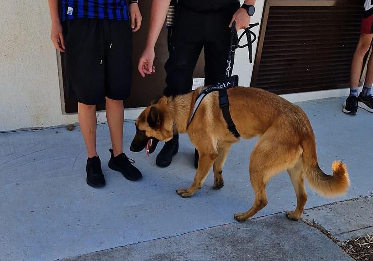 Uno de los perros en el control preventivo de Astorga.