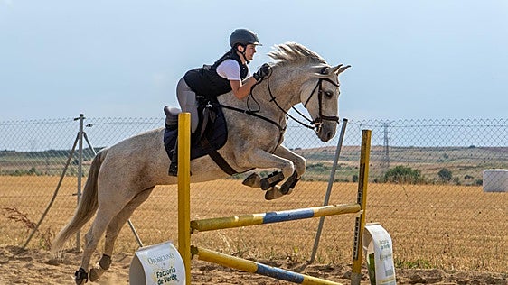 El singular reto de competir subido a un caballo: «Somos dos mentes pensando, es muy complicado y bonito»