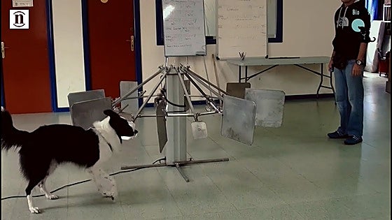 La huella olfativa del cáncer llega a La Bañeza de la mano de Biodogtor