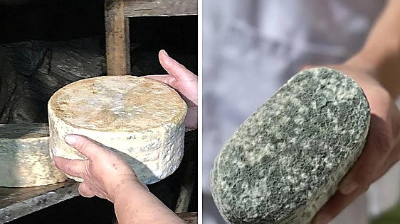 El queso Ybleu de Sahelices del Payuelo y el Tozudo del Bierzo, premios internacionales