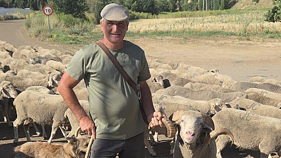La travesía de un trashumante desde Extremadura a León: «Aquí el ganado come lo que quiere»