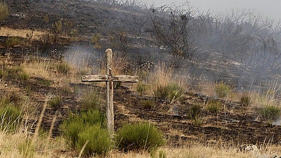 La protección de Folloso y Rosales, el objetivo del incendio de Valdesamario con evolución «favorable»