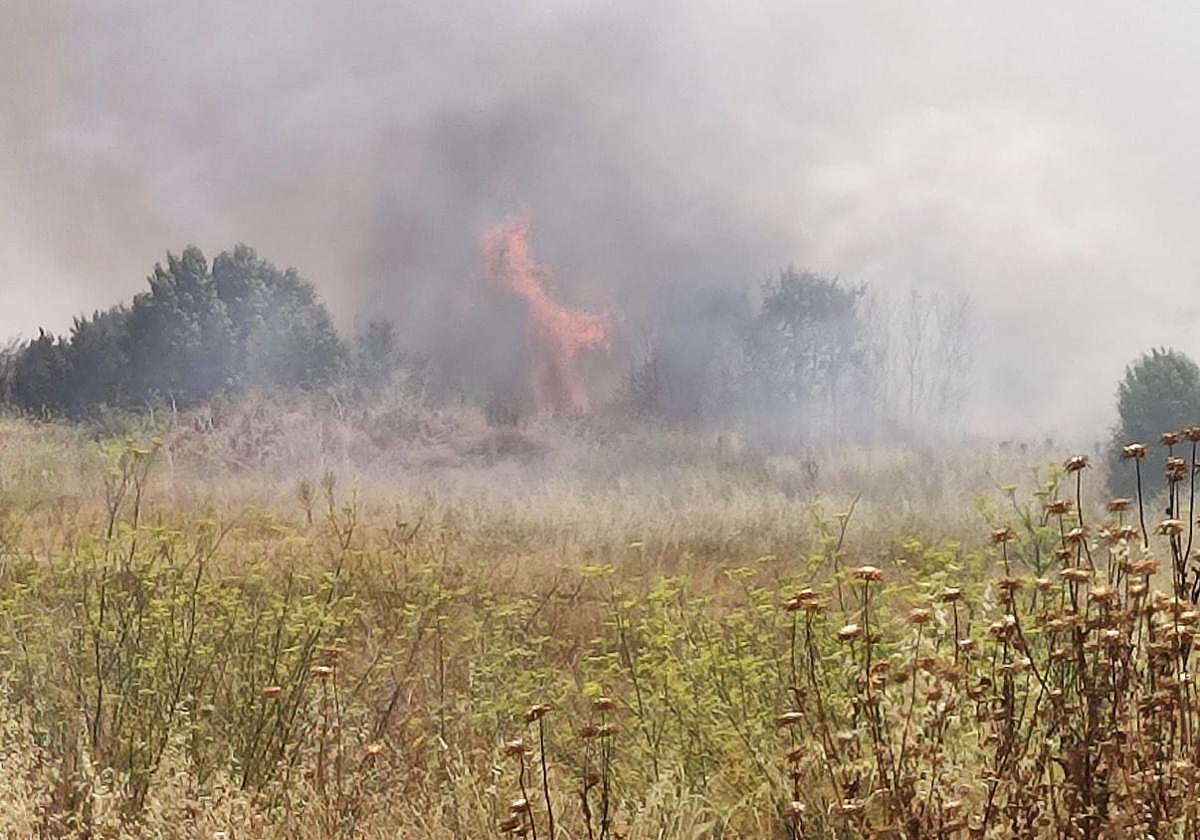 Incendio en una finca sin desbrozar.